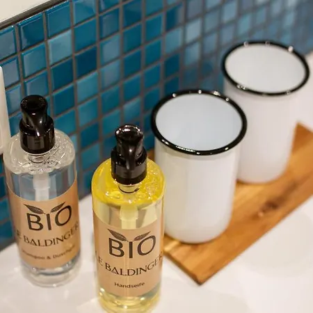 酒店 Le Baldinger Boutique 巴姆贝格